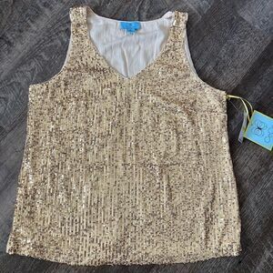 Cece V-Neck Sequin Lined Blouse- Size Medium